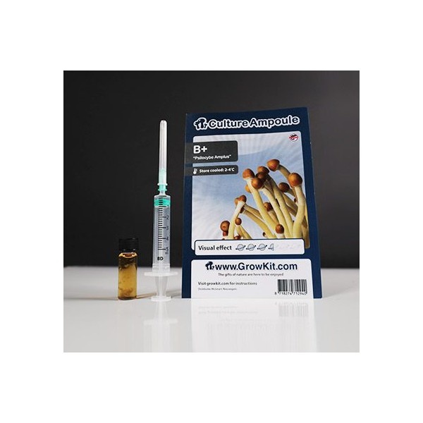 B +  Culture Ampoule Set