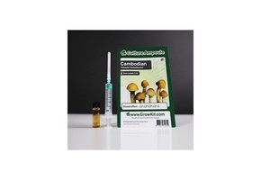 Cambodian  Culture Ampoule Set