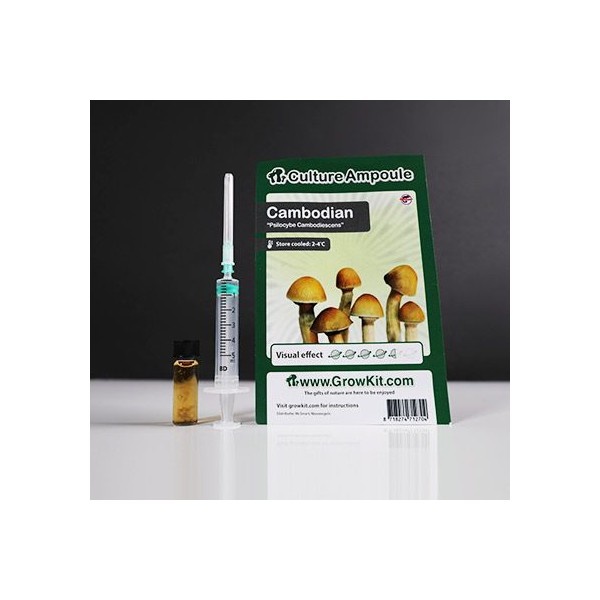 Cambodian  Culture Ampoule Set