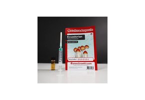 Ecuadorian  Culture Ampoule Set