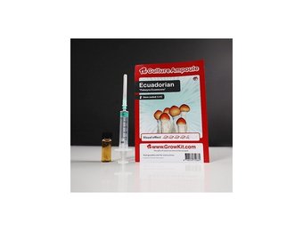 Ecuadorian  Culture Ampoule Set