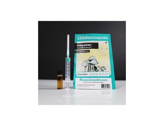 Hawaiian  Culture Ampoule Set