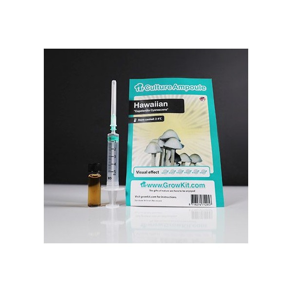 Hawaiian  Culture Ampoule Set