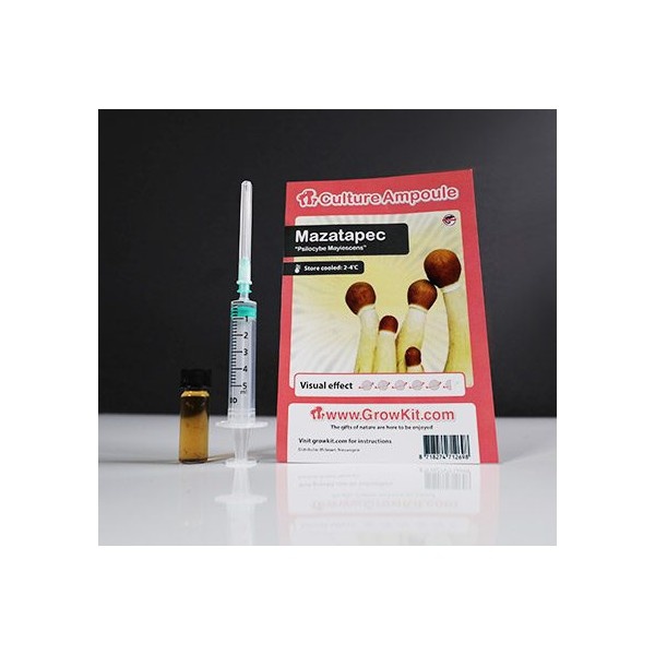 Mazatapec  Culture Ampoule Set