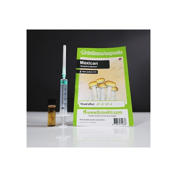 Mexican  Culture Ampoule Set