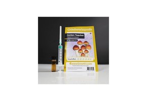 Golden Teacher  Culture Ampoule Set