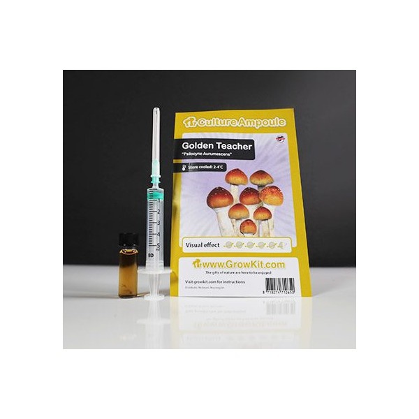Golden Teacher  Culture Ampoule Set