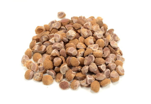 Hawaiian baby woodrose - Madagascar  10 seeds