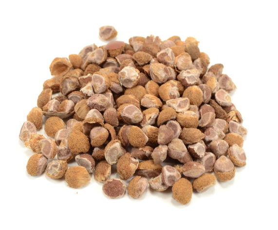 Hawaiian baby woodrose - Madagascar  10 seeds