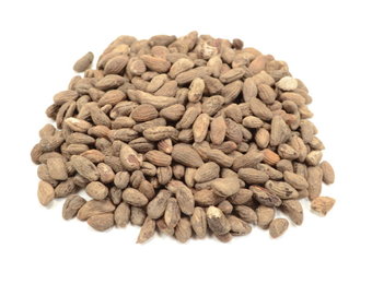 Voacanga africana zaden 5 gram