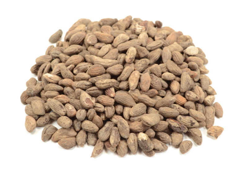 Voacanga africana zaden 5 gram