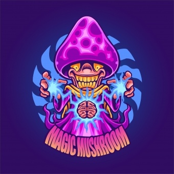 Waar komt de naam Magic Mushroom vandaan?