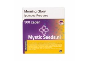 Morning Glory  300 Zaden