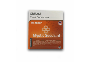 Ololiuqui - 40 Seeds