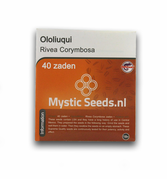 Ololiuqui - 40 Seeds