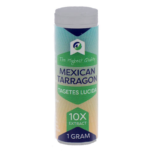 Mexican Tarragon 10x  - Tagetes Lucida