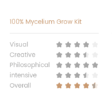 Golden Teacher 100% mycelium  Paddo kweekset