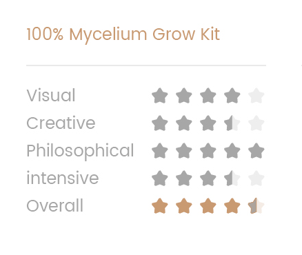 Golden Teacher 100% mycelium  Paddo kweekset
