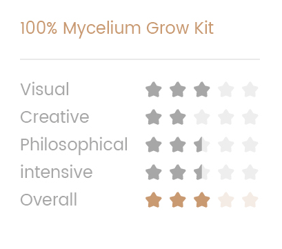 Cambodian 100% mycelium Mushroom Growkit