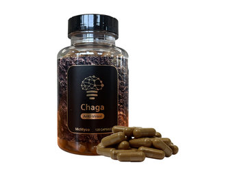 Chaga Inonotus Obliquus - 120 Capsules