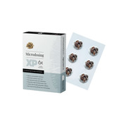 XP Microdosing Psilocybine Truffles