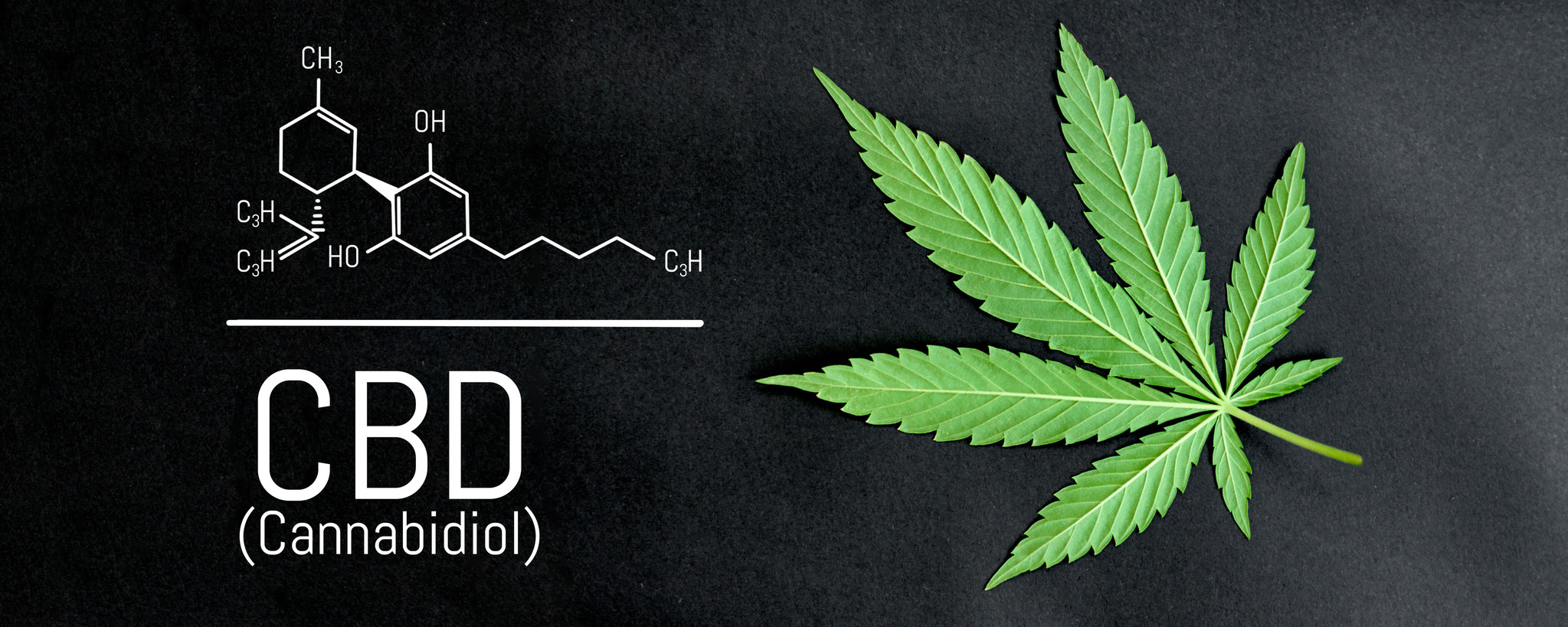 Met CBD je weerstand ondersteunen