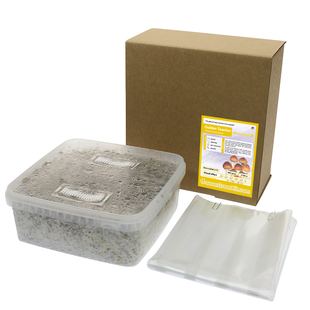 Golden Teacher All in one Growkit