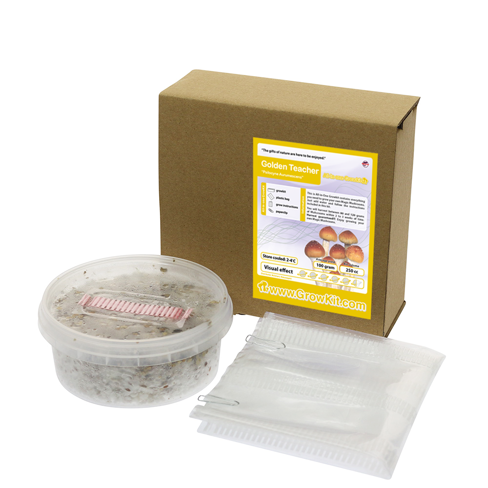 Golden Teacher All in one Growkit