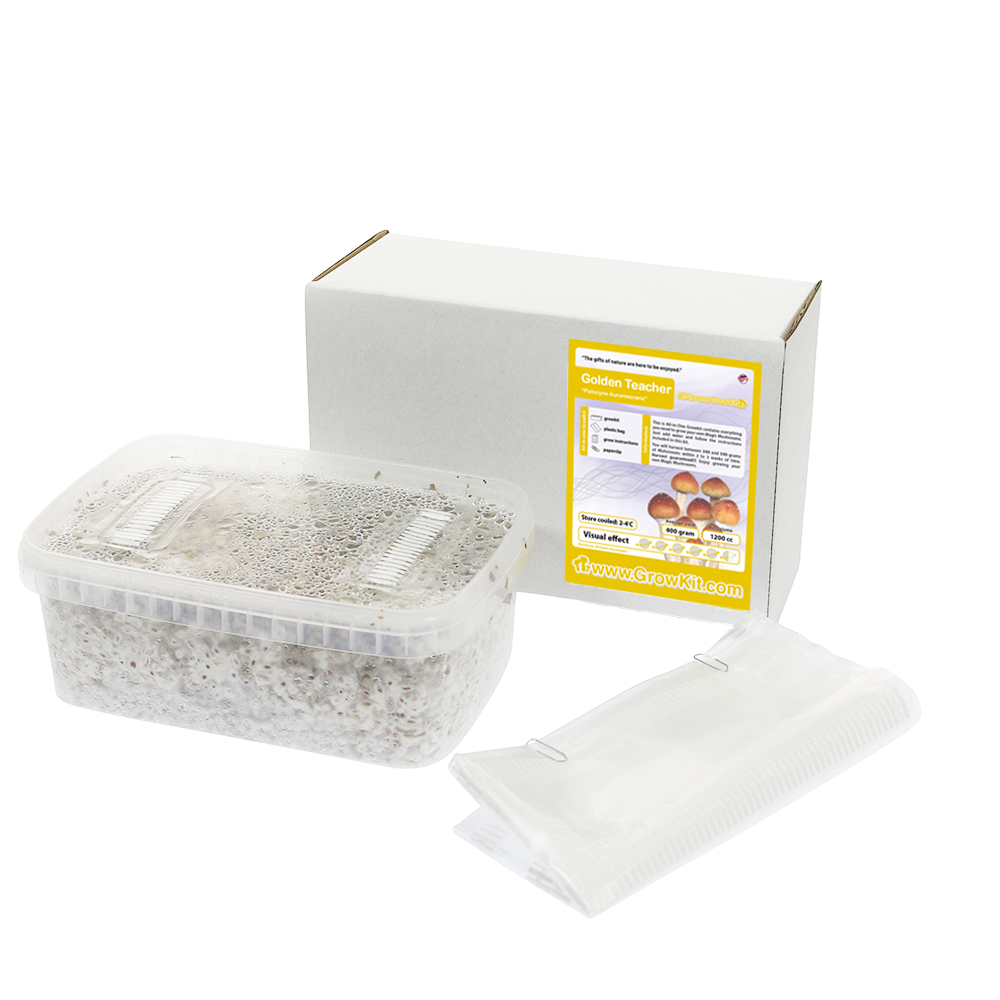 Golden Teacher All in one Growkit