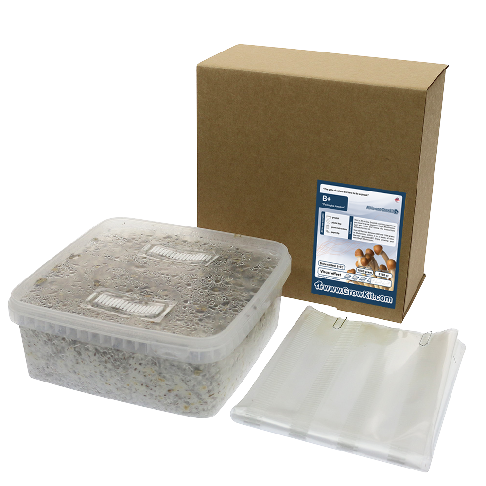 B+ All in one Growkit