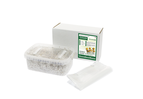 Cambodian All in one Growkit