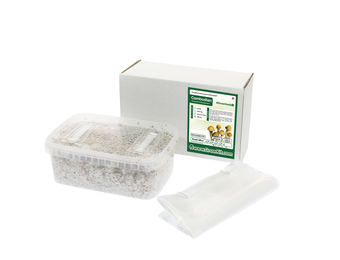 Cambodian All in one Growkit