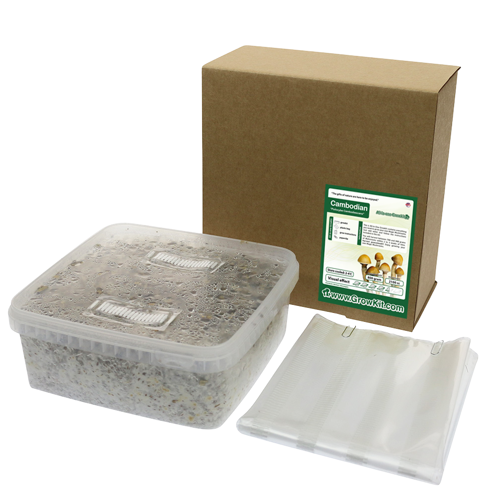 Cambodian All in one Growkit