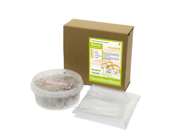 Mexican All in one Growkit