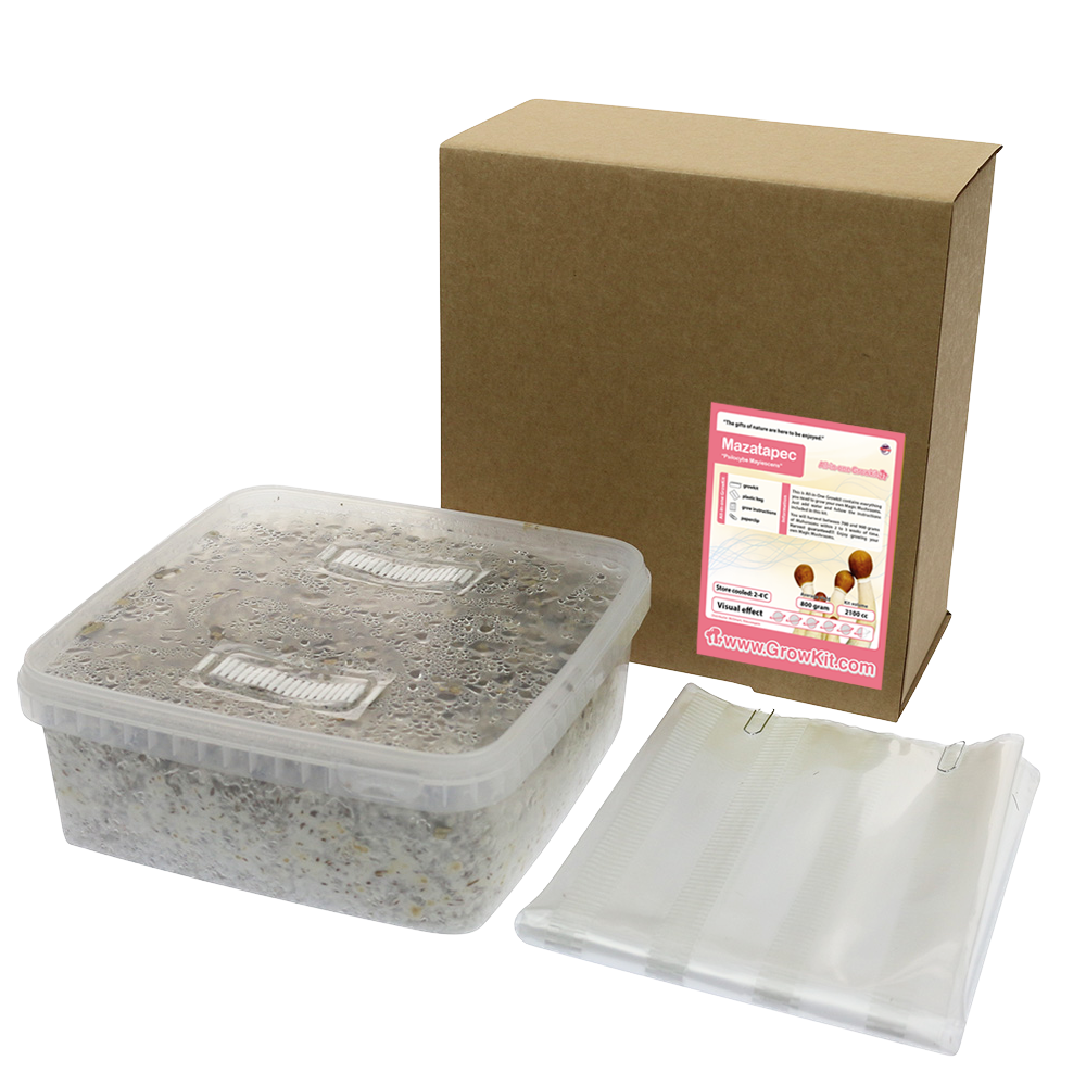 Mazatapec  All in one Growkit