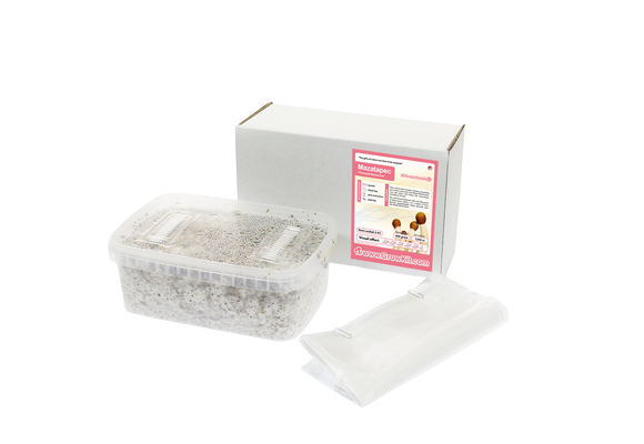 Mazatapec  All in one Growkit