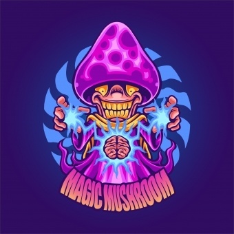 Where does the name Magic Mushroom come from?