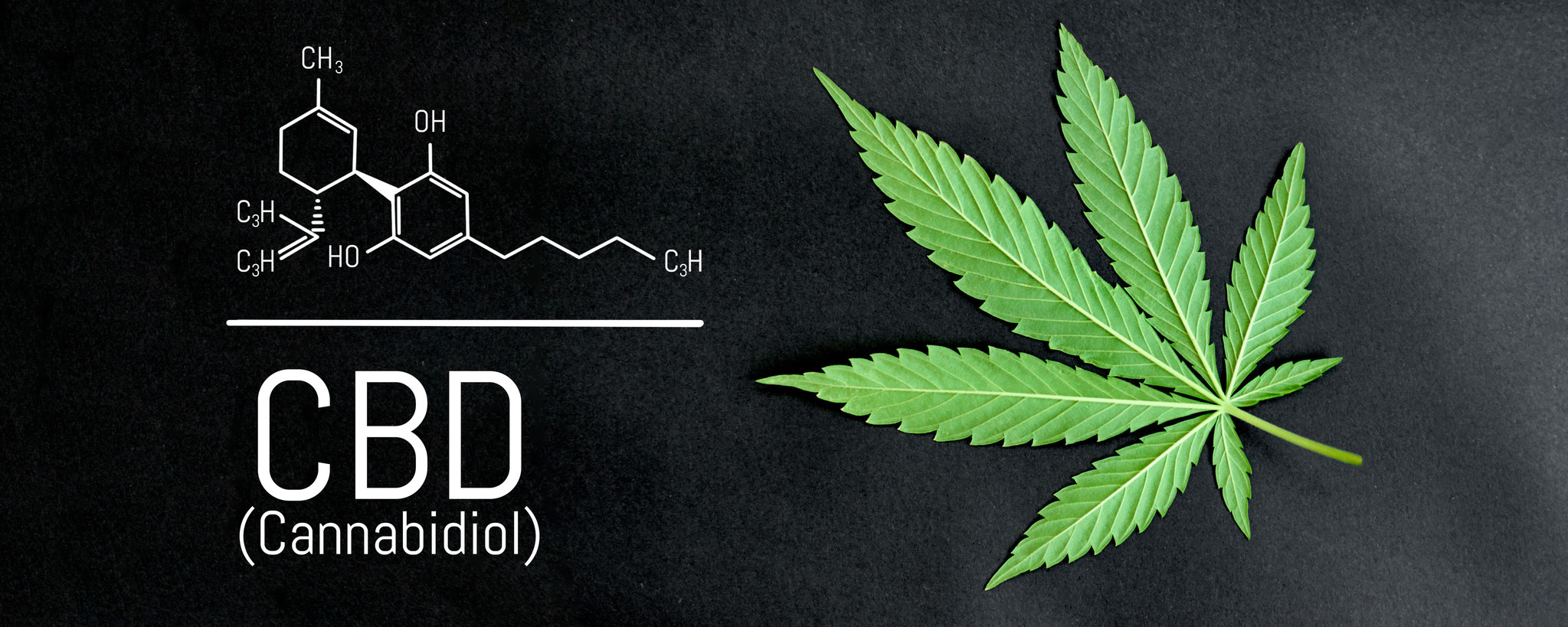 Support your resistance (immune system) with CBD