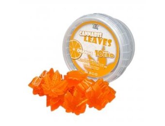 CBD Cannabis Leaves  Orange