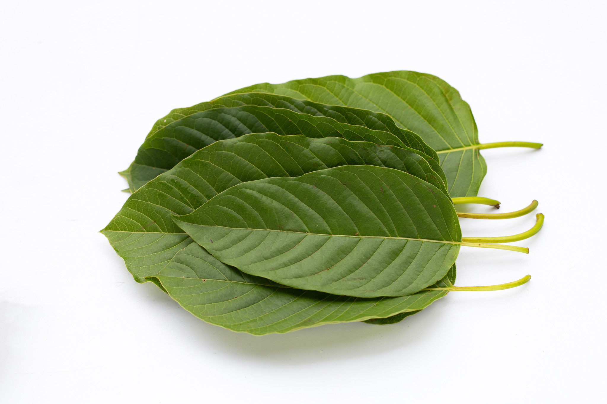 This is how you prevent kratom from making you nauseous