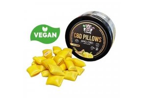 CBD Kussentjes Citroen & Gember -  40 Gram