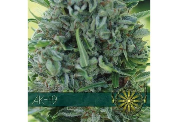 AK-49 (Vision Seeds) - 3 Seeds
