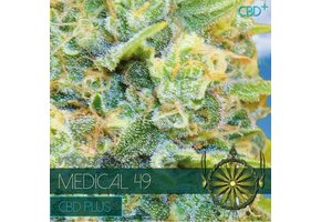 Medical 49 CBD+ (Vision Seeds) - 3 Zaden