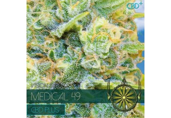 Medical 49 CBD+ (Vision Seeds) - 3 Zaden