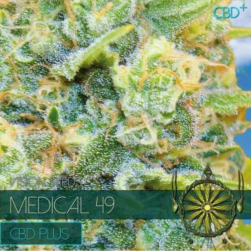 Medical 49 CBD+ (Vision Seeds) - 3 Zaden