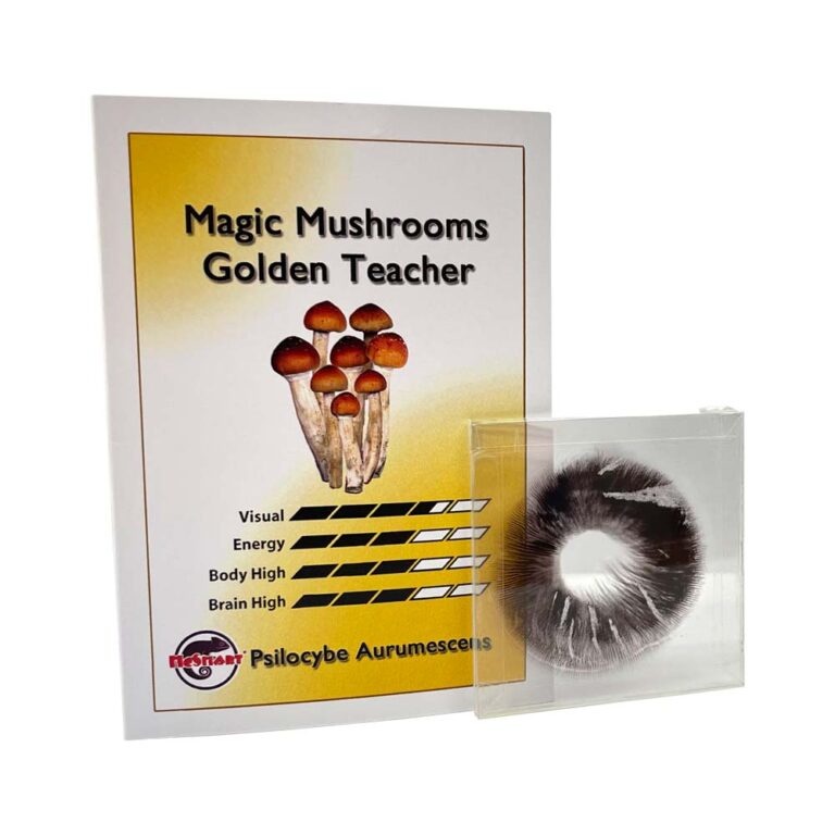 Spore Print Psilocybe Cubensis Mexican