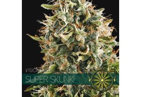 Super Skunk (Vision Seeds) - 3 Seeds