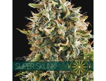 Super Skunk (Vision Seeds) - 3 Zaden