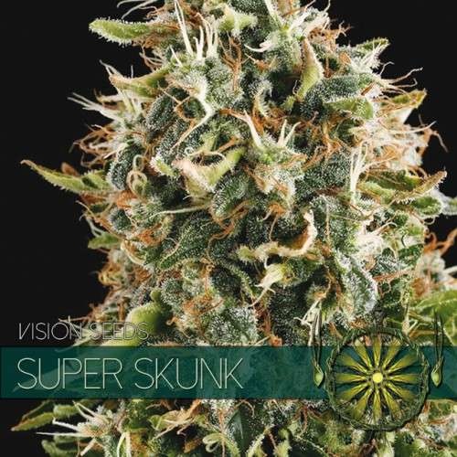 Super Skunk (Vision Seeds) - 3 Zaden
