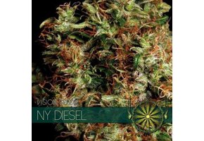 NY Diesel (Vision Seeds) - 3 Zaden